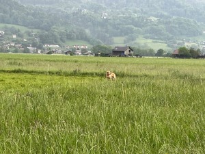 IMG_6890