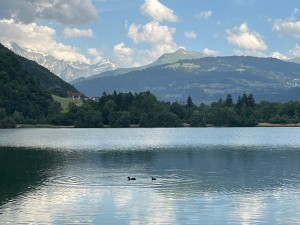 IMG_7313
