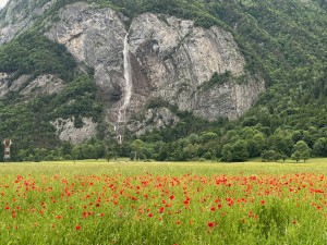 IMG_7002 (1)