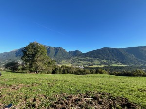 IMG_8289
