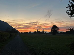 IMG_8465