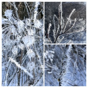 06BA5DA5-1C74-47BF-AA14-E11195A36C5B-COLLAGE