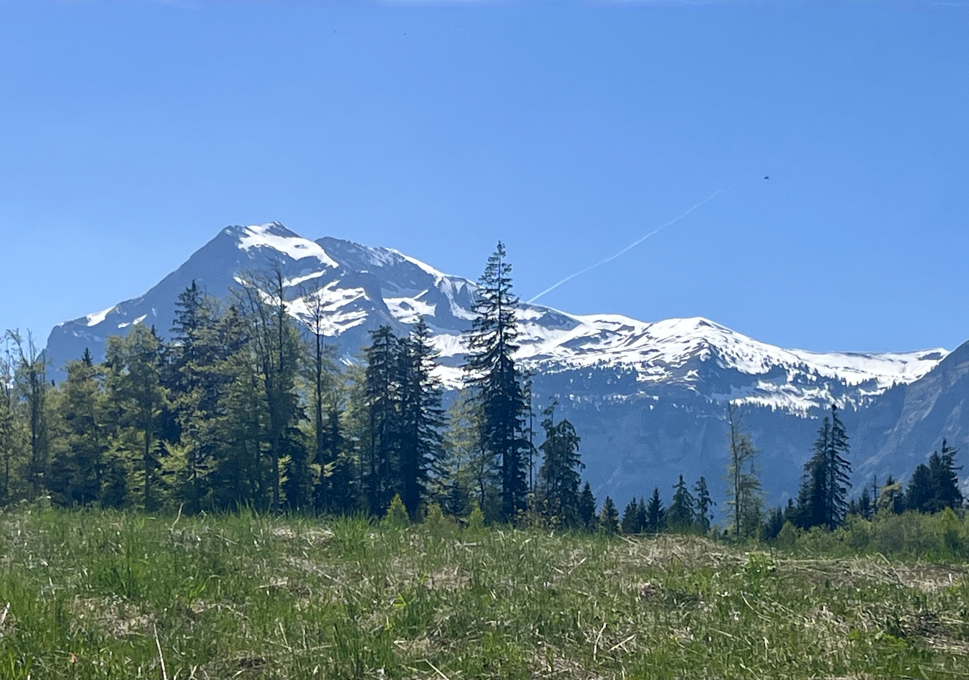 Pointe d'Areu depuis Arâches.