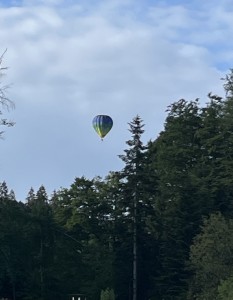 IMG_0411