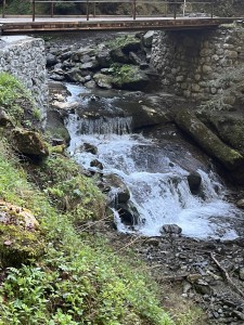 IMG_0414