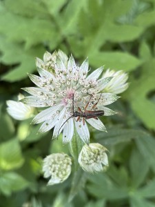 IMG_0892